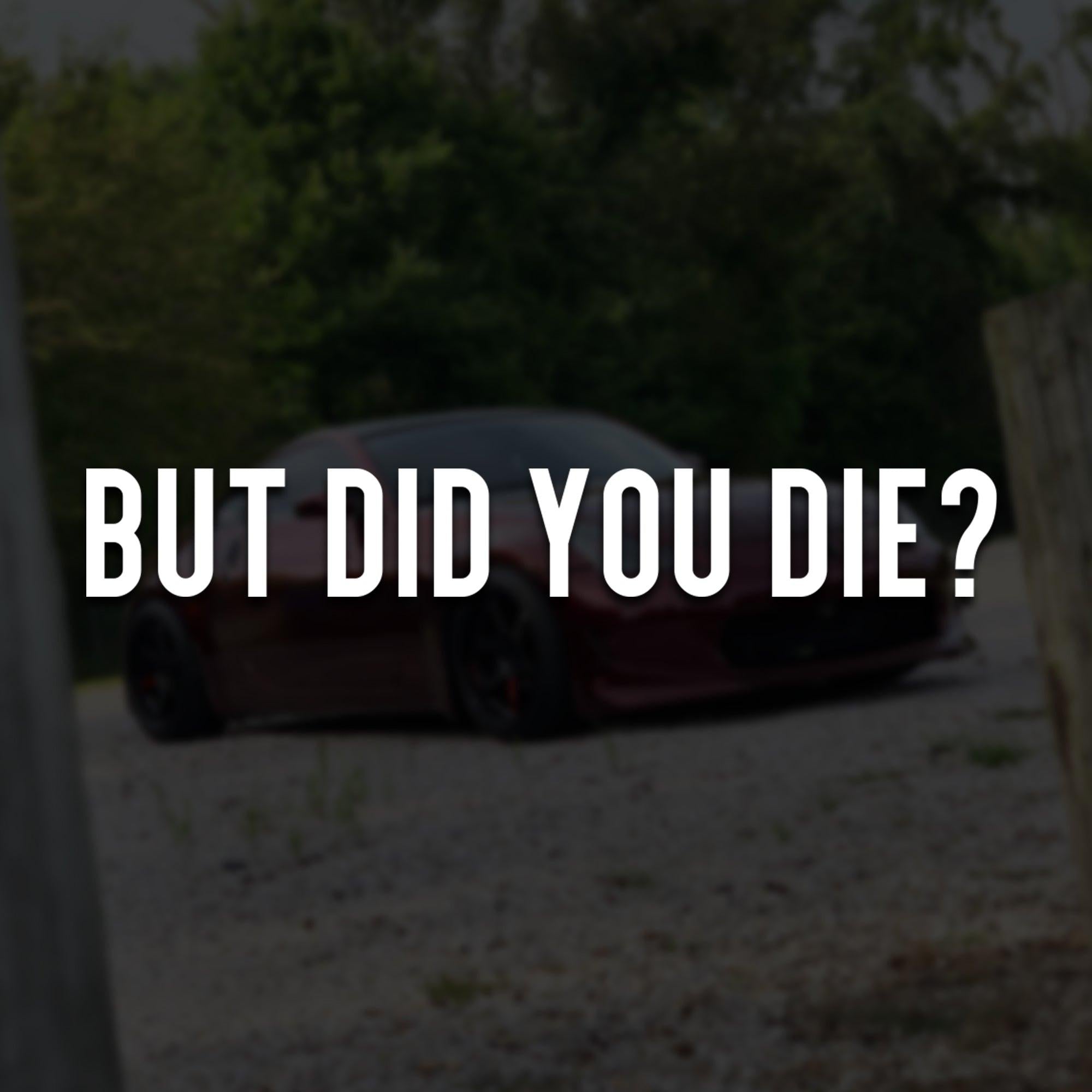 But Did You Die? Vinyl Decal.